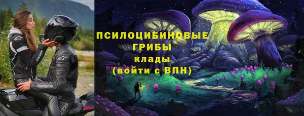 гидропоника Арсеньев