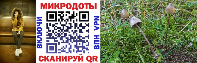 Купить закладки  Соликамск  Псилоцибиновые грибы GOLDEN TEACHER 